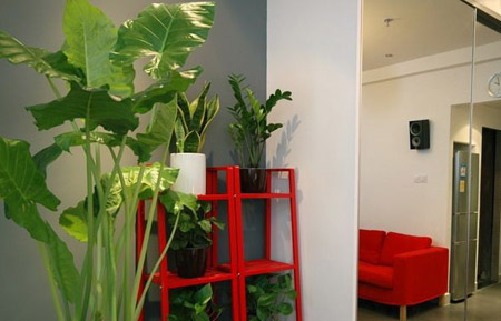 墙面装饰材料有哪些 防火防霉耐火很重要